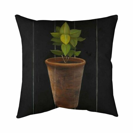 BEGIN HOME DECOR 26 x 26 in. Plant of Bay Leaves-Double Sided Print Indoor Pillow 5541-2626-GA51